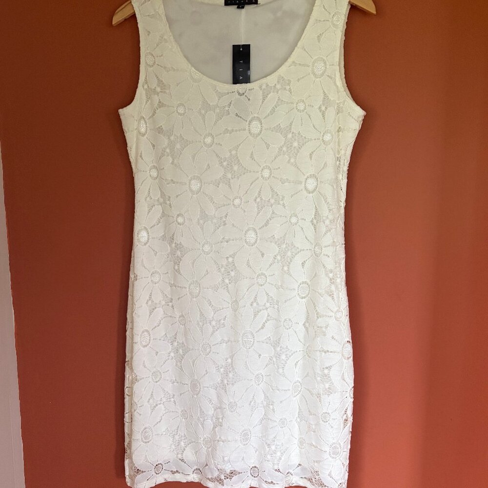 Tiana B. Cream Lace Sleeveless Dress Size Small New